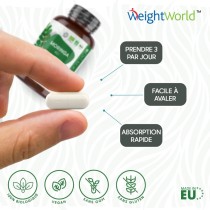 Moringa Bio
