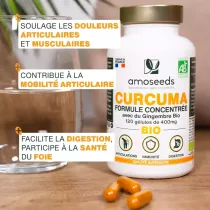 Curcuma Bio, Formule Concentrée avec Gingembre Bio