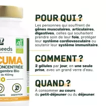 Curcuma Bio, Formule Concentrée avec Gingembre Bio