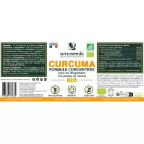Curcuma Bio, Formule Concentrée avec Gingembre Bio