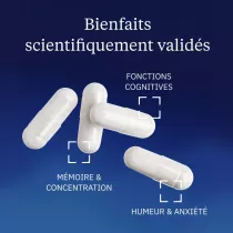 Magnésium L-thréonate : Magtein®