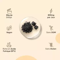 Résine de Shilajit pure d'Himalaya