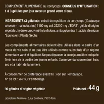 Cordyceps
