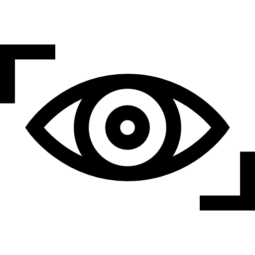 Vision